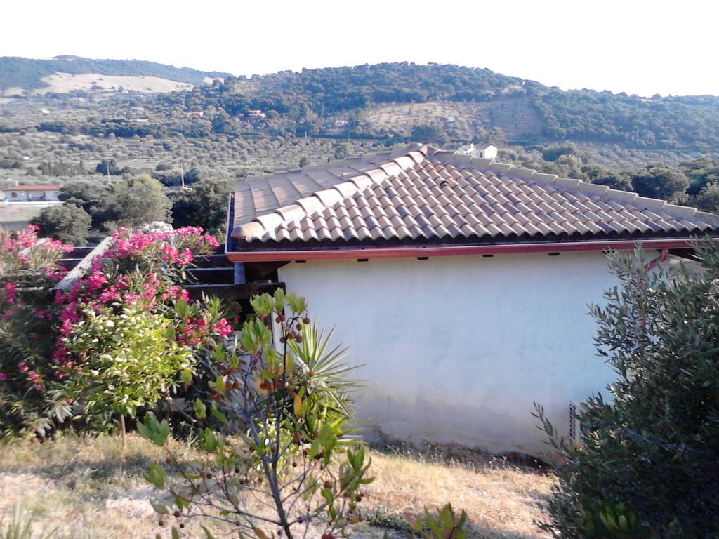Affittacamere Valverde Di Naitana Rita 阿尔盖罗 客房 照片